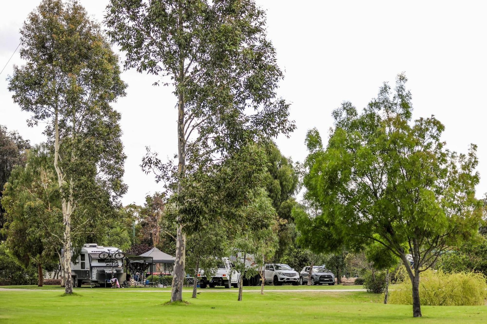 Discovery Parks - Moama Waters Exterior foto